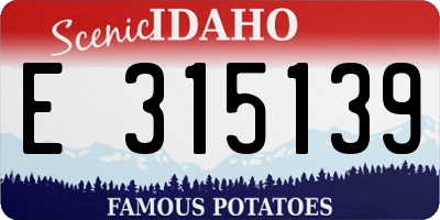 ID license plate E315139