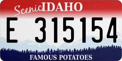 ID license plate E315154