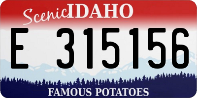 ID license plate E315156