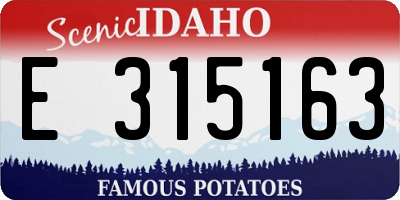 ID license plate E315163