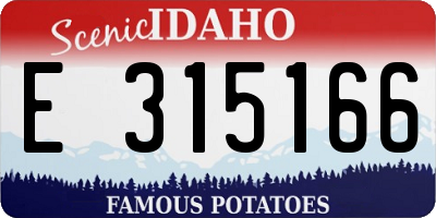 ID license plate E315166