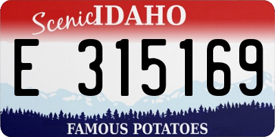 ID license plate E315169