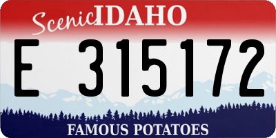 ID license plate E315172