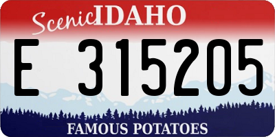 ID license plate E315205