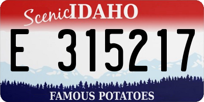 ID license plate E315217