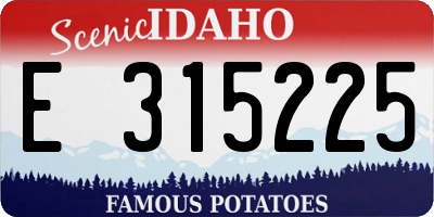 ID license plate E315225