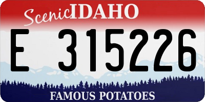 ID license plate E315226