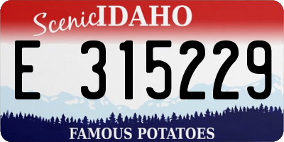 ID license plate E315229