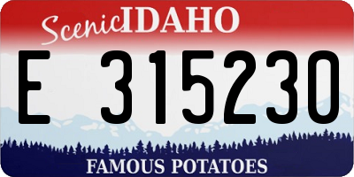 ID license plate E315230