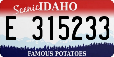 ID license plate E315233