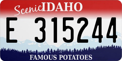 ID license plate E315244