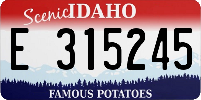 ID license plate E315245