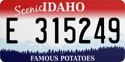 ID license plate E315249