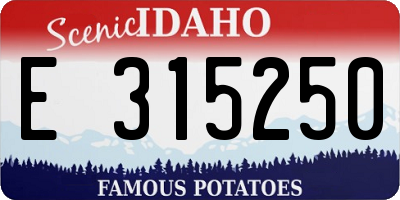 ID license plate E315250