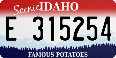 ID license plate E315254