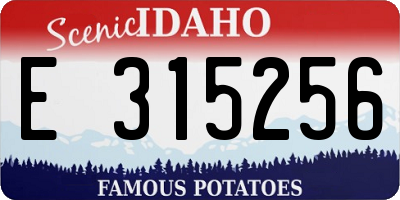 ID license plate E315256