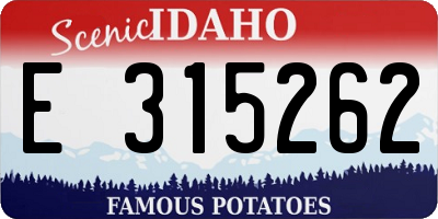 ID license plate E315262