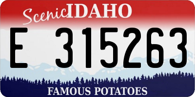 ID license plate E315263