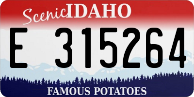 ID license plate E315264