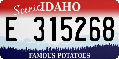 ID license plate E315268