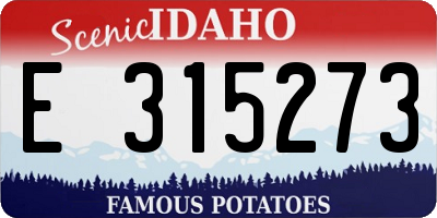 ID license plate E315273