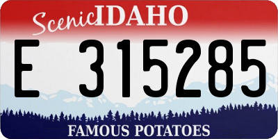 ID license plate E315285