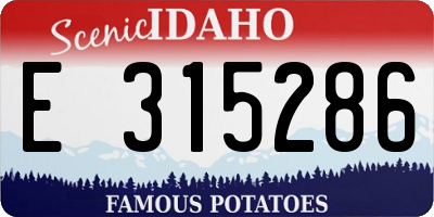 ID license plate E315286