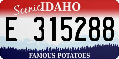 ID license plate E315288