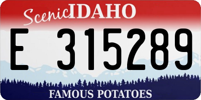 ID license plate E315289