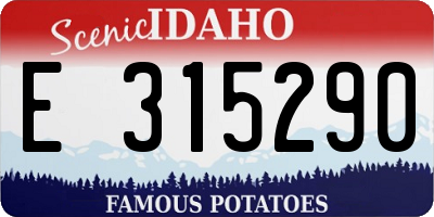 ID license plate E315290