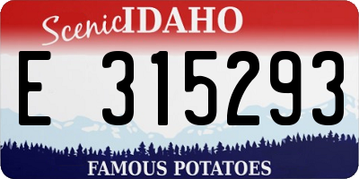 ID license plate E315293