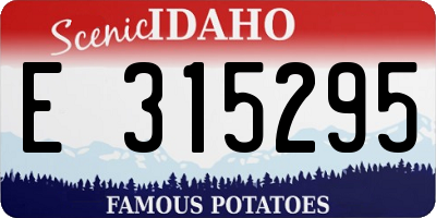 ID license plate E315295