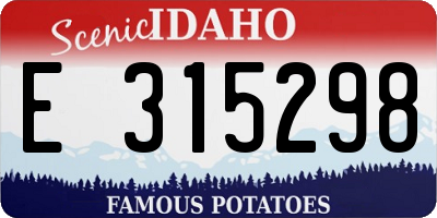 ID license plate E315298