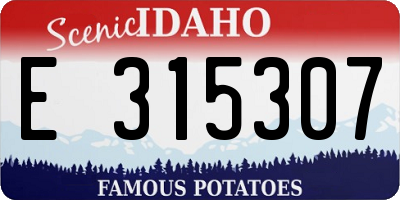 ID license plate E315307
