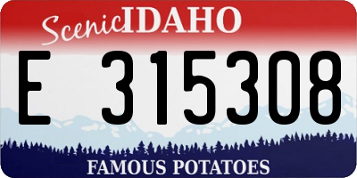 ID license plate E315308