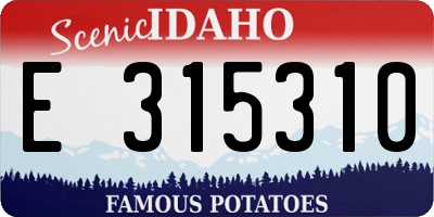 ID license plate E315310