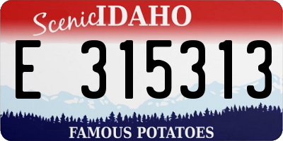 ID license plate E315313