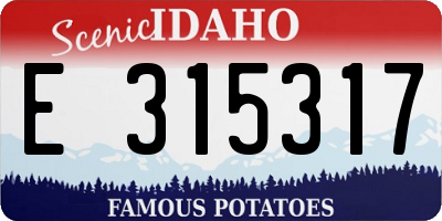 ID license plate E315317