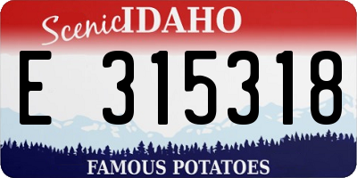 ID license plate E315318