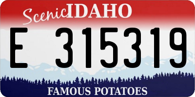 ID license plate E315319