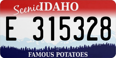 ID license plate E315328