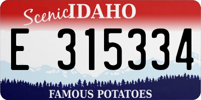ID license plate E315334