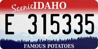 ID license plate E315335