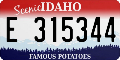 ID license plate E315344