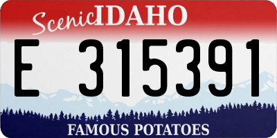 ID license plate E315391