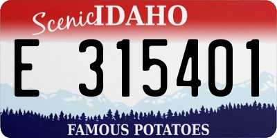 ID license plate E315401
