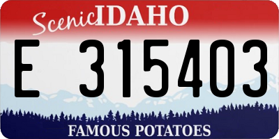 ID license plate E315403