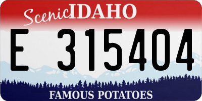 ID license plate E315404