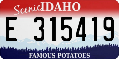 ID license plate E315419