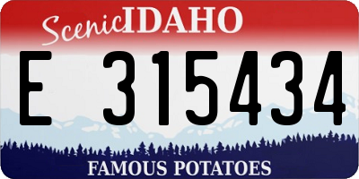 ID license plate E315434